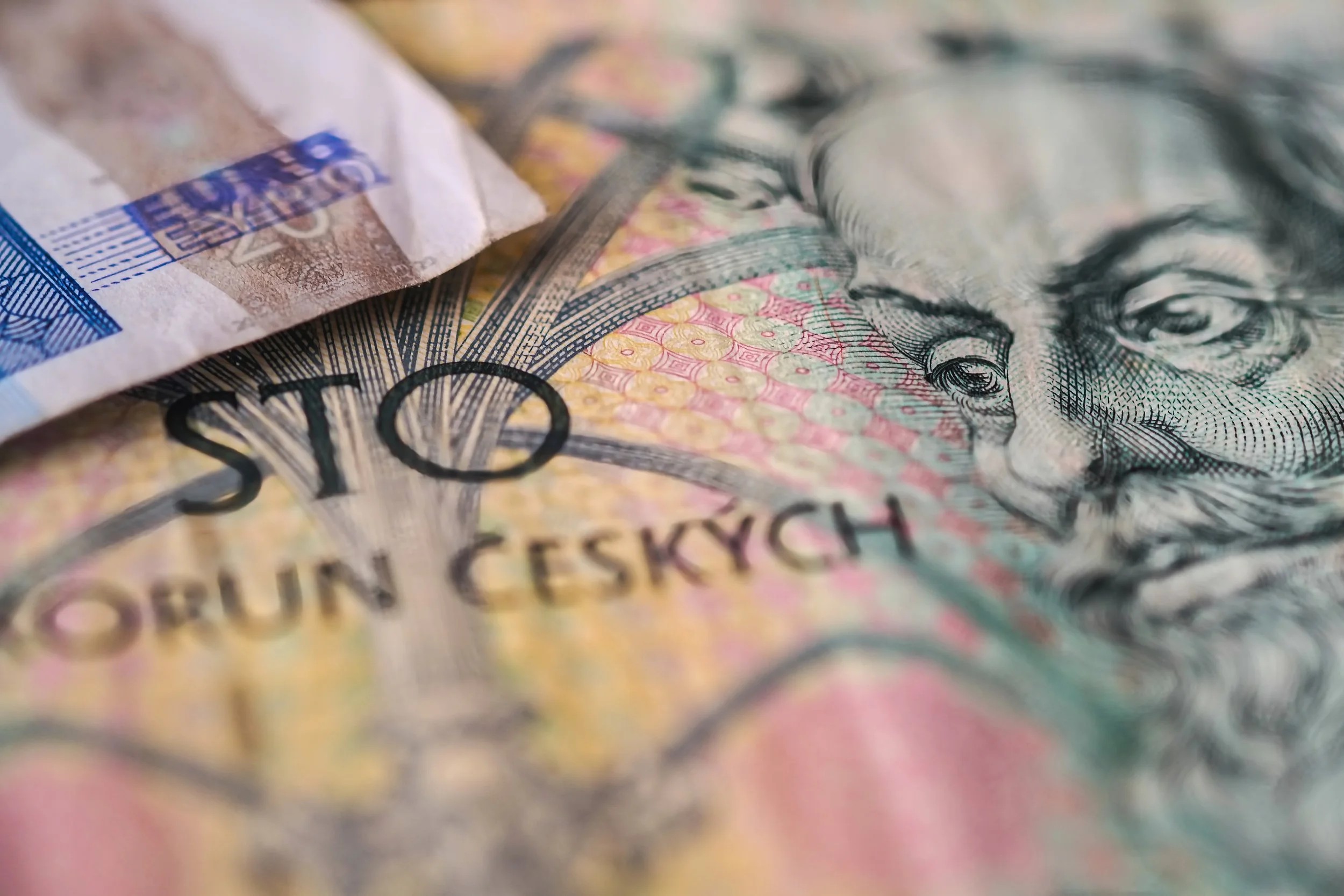 Cash in Detail