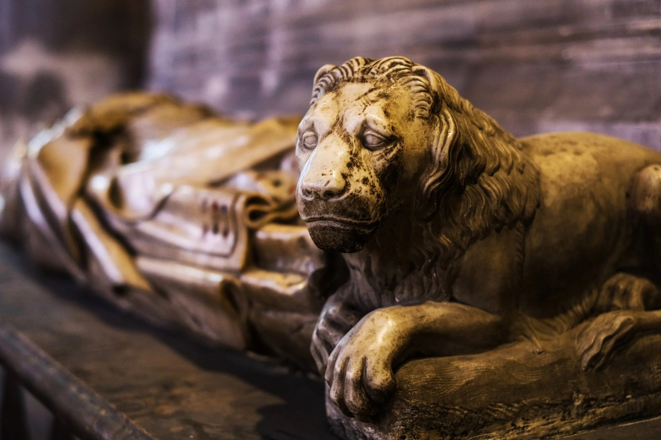 Lion of Notre Dame