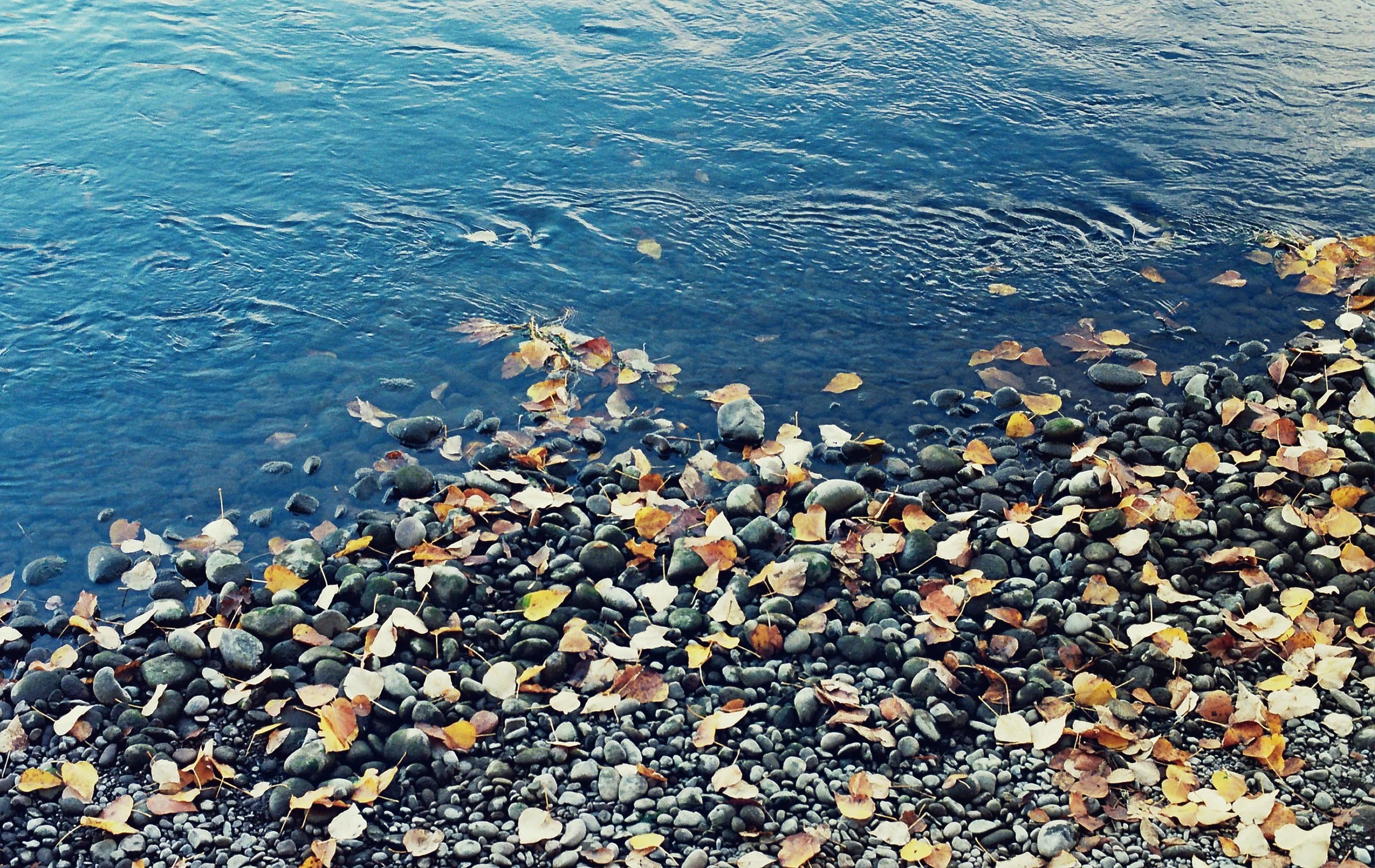 River Rocks