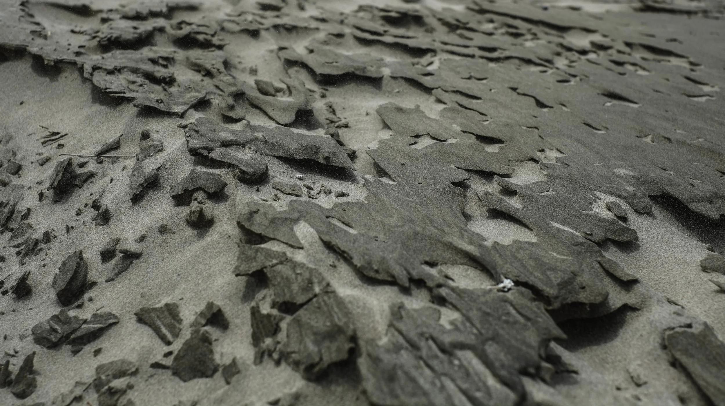 Windblown Sand